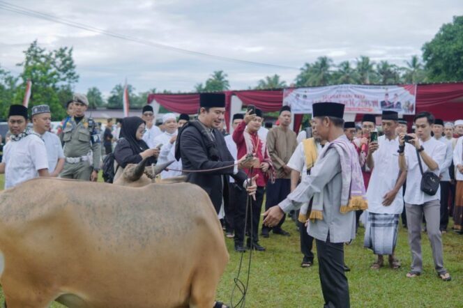 
 Usai Sholat Idul Adha, Bupati  Arie Serahkan Hewan Kurban dan Berikan Santunan