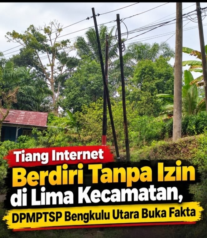
 Tiang Internet Berdiri Tanpa Izin di Lima Kecamatan, DPMPTSP Bengkulu Utara Buka Fakta
